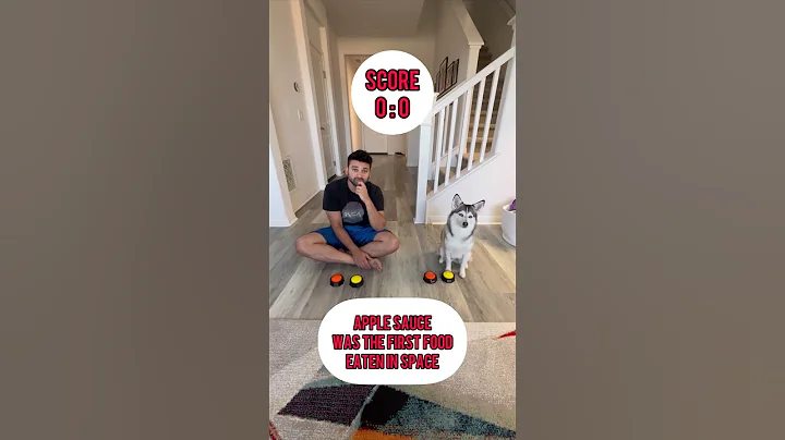 Sapphie the pomsky true or false trivia: Food edition