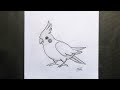 How to draw an easy bird picture - Step-by-step tutorial on how to draw animals in charcoal.