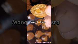 kerala summer candy|🥭 mango thera|no talking |#silentdreamlife