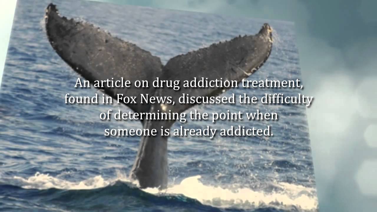 Breaking The Cycle of Addiction - YouTube