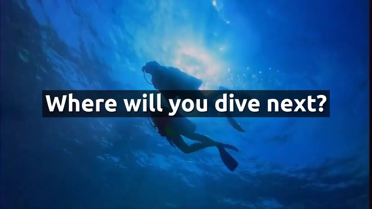 Search for the Winter Sun - YouTube