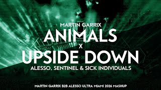 Martin Garrix X Alesso  Animals X Upside Down martin Garrix B2b Alesso Umf 2026 Mashup