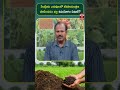 సేంద్రీయ ఎరువులలో జీవనియంత్రణ పాటించడం వల్ల ఉపయోగం ఏమిటి ? | T-SAT