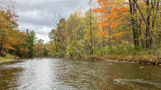 Fall Trout Fishing in Michigan - Brown Trout, Rainbow Trout