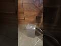 Humidity and wood home #wood #humidity #walnut #mildew #indoorpool #recovery #salvage #dehumidifier