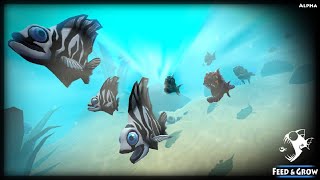 Feed and Grow Fish On iOS & Android 🙀 Feed and Grow Fish  Download FREE Mobile 2023 screenshot 2