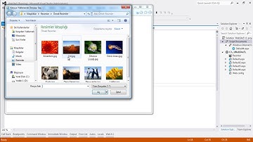 AspNet 05 fileupload kullanimi