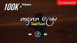 Pawasanna - නාදුනන ලෙස (Slowed Reverb)