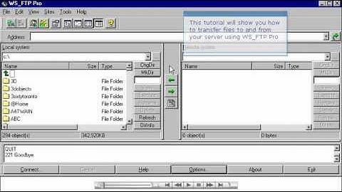 How to Transfer Files in WS FTP - Host Department LLC