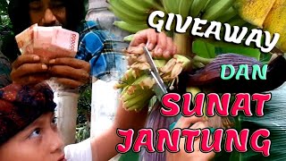 Seputar Giveaway Kelinci dan Sunat Jantung agar Pisangnya jadi besar-besar oleh pemula(Eca)