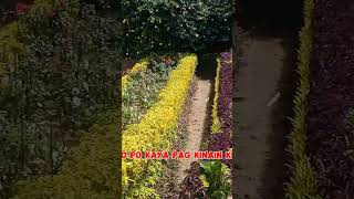 gusto mo kainin kta