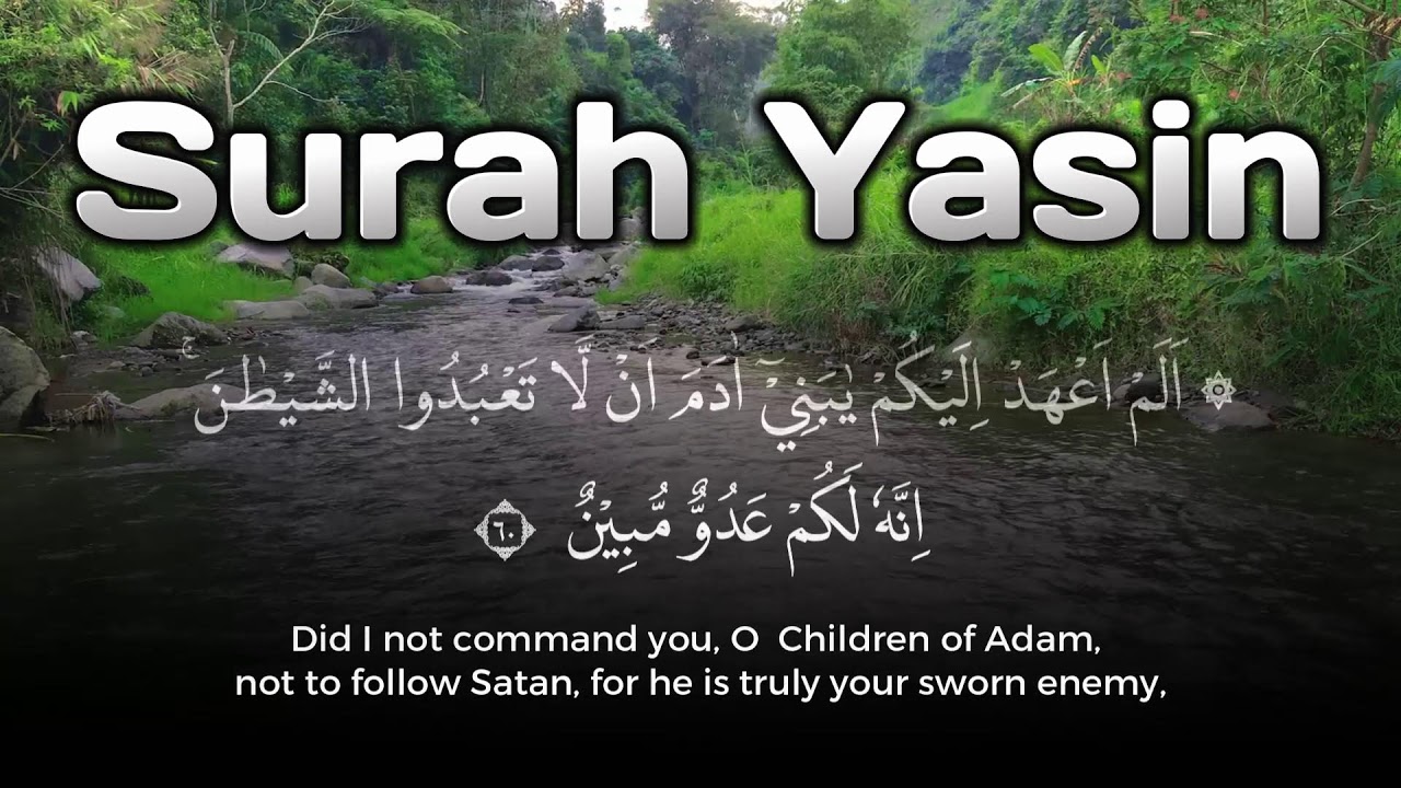 Peaceful Quran for Calm Mind and Soul – Surah Yasin Quran