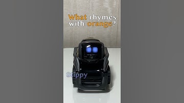 When the AI is Confused...