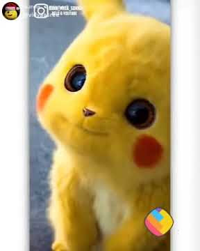 Pikachu life is sad story