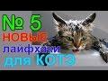 лайфхаки для кота 5 (купаемся)