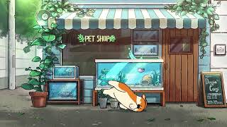 Soft Korean Playlist With Songs That Will Make You Enjoy Your Time