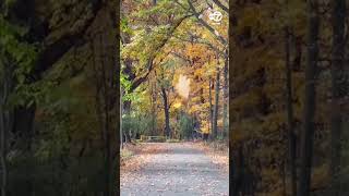 Autumn Leaves Fall in New York's Finger Lakes Region
