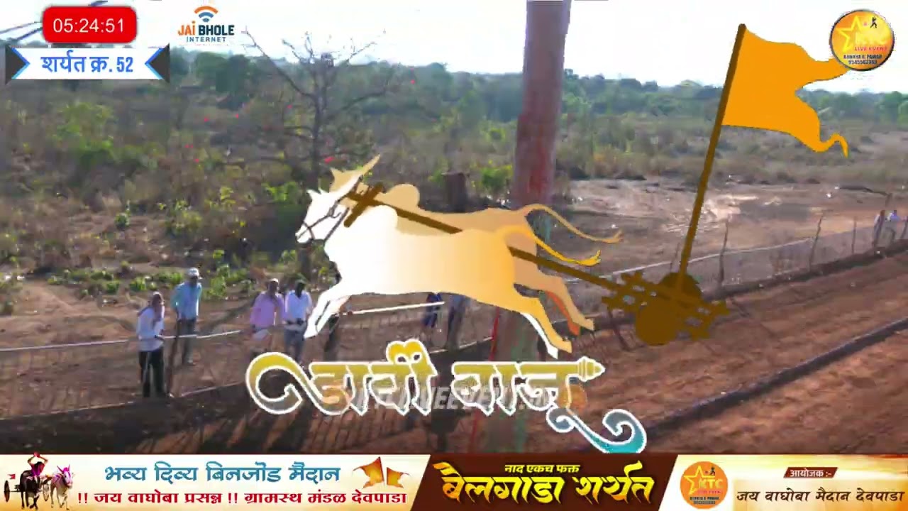 बघा वासरू कसा पळतोय तुफानी आणि गुलाल घेतला