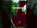 狂乱の魔術師への対抗策【ダンジョン飯】