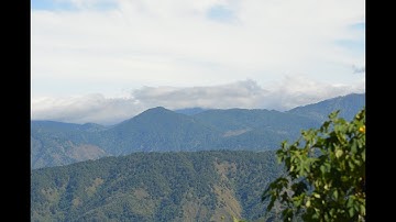 Fragile car | Algodoo