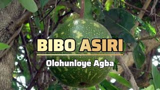 OGUN ASIRI BIBO staring Olohunloye Agba #spiritual