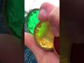 復活のコアメダル　仮面ライダーオーズに変身してみた！