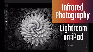 Infrared Spiral Aloe photo edit with Lightroom on iPad screenshot 5