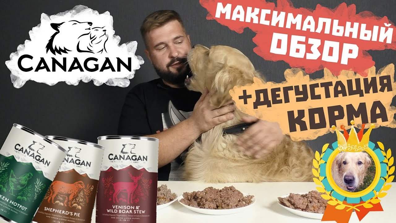 Консервы для собак CANAGAN! Какой корм выберет собака? Влажный корм для собак Канаган | Видео обзор