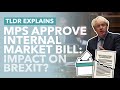 Brexit: MPs Approve Controversial Internal Market Bill: Vote & Impact on Brexit Explained- TLDR News