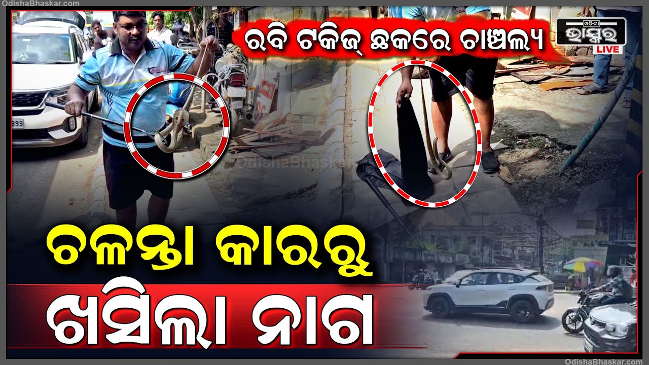 ଚଳନ୍ତା ଗାଡ଼ିରୁ ଖସିପଡ଼ିଲା ନାଗ ସାପ | ଟ୍ରାଫିକ ପୋଲିସ ଦେଖାଇଲେ ବୁଦ୍ଧି, କଲେ ଏମିତି କିଛି |