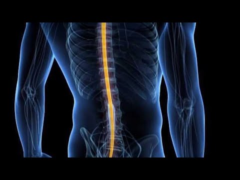 Breakthrough treatment developed to help spinal cord injuries