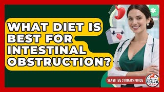 What Diet Is Best For Intestinal Obstruction - Sensitive Stomach Guide