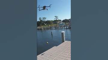 Great Video Local Dolphin Flipper Juleann #sea #seaman  #film #tugboat  #RadioStatic #drone #ship