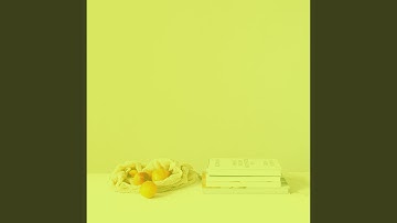 Sunny Backdrops for Summer Days