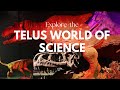 Discover TELUS World of Science Edmonton 🔬