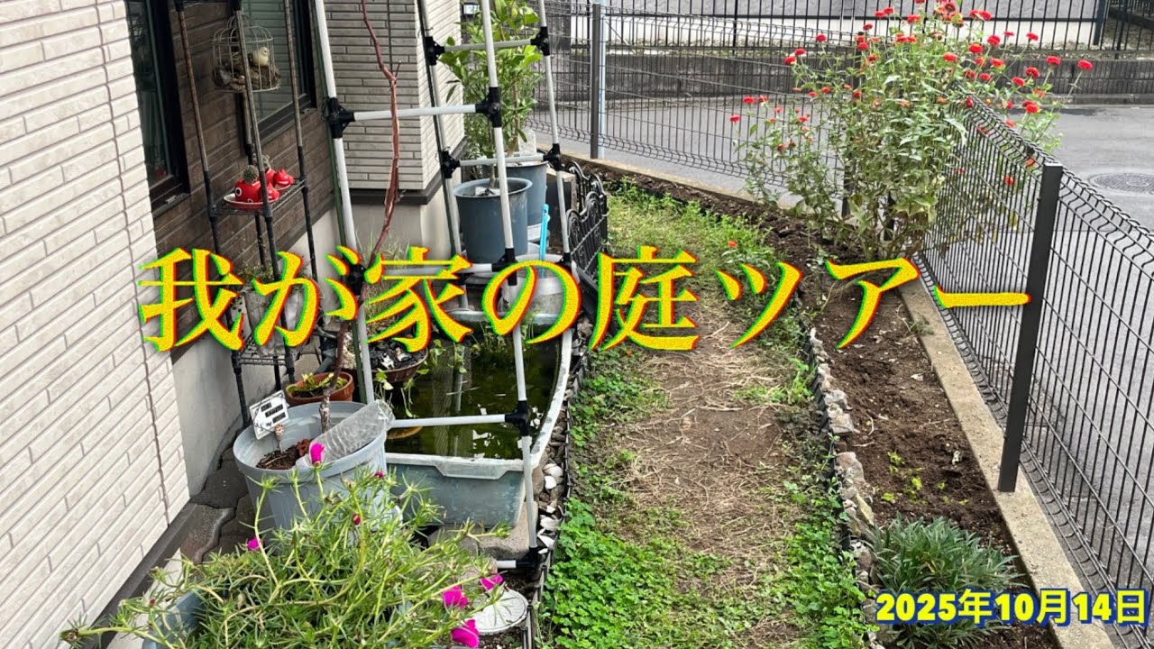 我が家の庭ツアー