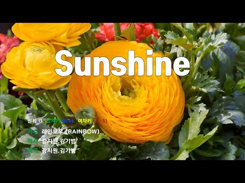 [은성 반주기] Sunshine - 레인보우(RAINBOW)