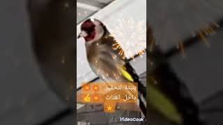 بتبتات تسعاد الحسون على الغناء