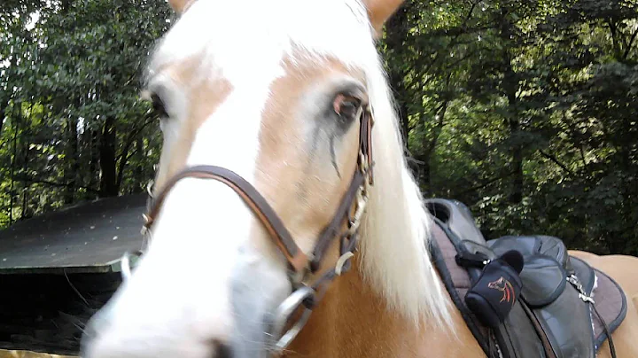 Bray und Sonja