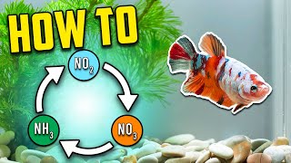 Best Nitrogen Cycle Guide for Beginners (Different Methods Explained)
