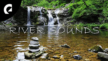 1 Hour of Relaxing River Sounds - Flowing Water and Forest Creek Ambience 🏞️