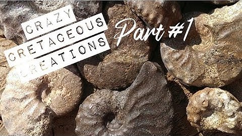 How to Prep Fossils for Beginners.. Engraver, (Dremel 290) Part 1,,,, ep 3