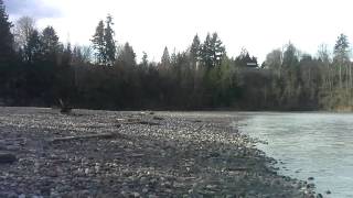 Mid March 2011 3/8