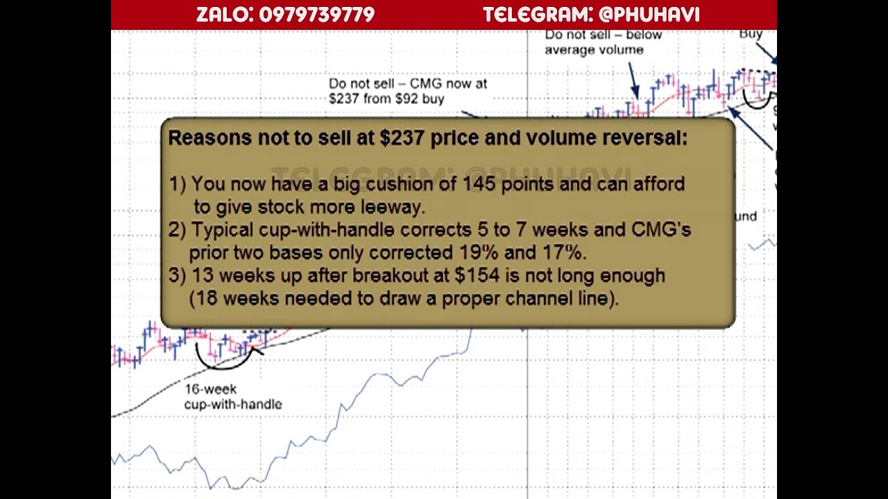 Outline Video IBD LV8 0104 MODEL STOCK ANALYSIS