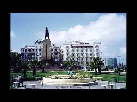 اسكندريه منير جروب شجر الليمون