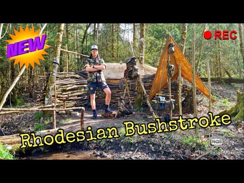 Rhodesian Bushstroke, Konzepttour im Kongo Lager