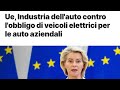 COME CONTADINI OBBLIGATI A PIANTARE POMODORI TUTTO L' ANNO ‼️