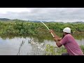 🎣Rohu Fishing||Awesome Fishing video|incredible Fishing|Rohu Fish Catching 🎣|village fishing