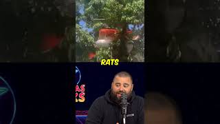 Theres migrants living in the trees now...