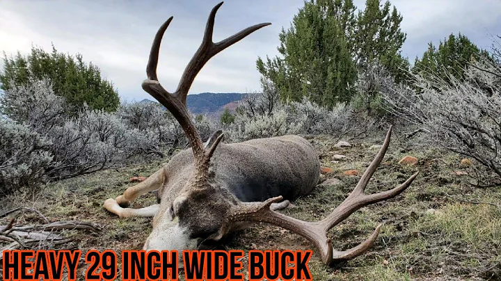 MULE DEER HUNT | HEAVY WIDE BUCK | DEER HUNTING UTAH | BIG BUCK